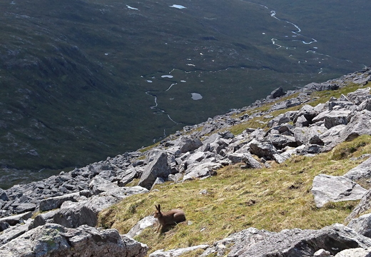 Clisham