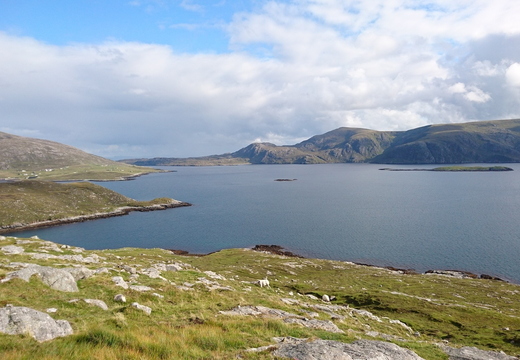 9PM ferry home the same day so parked up for tea with a view close to Tarbert