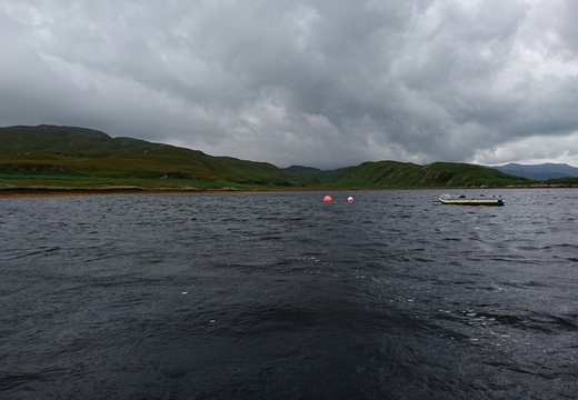 Loch Tarbert, Jura