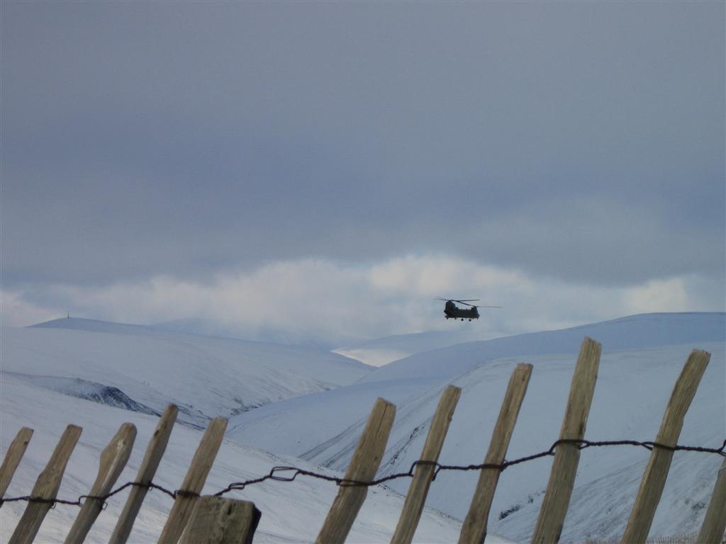 A Chinnock. It was right down in the valley above the A93, but it took me a while to get my camera out :-(