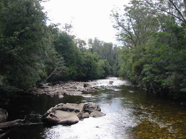 The Franklin River. Flows through a world heritage area.