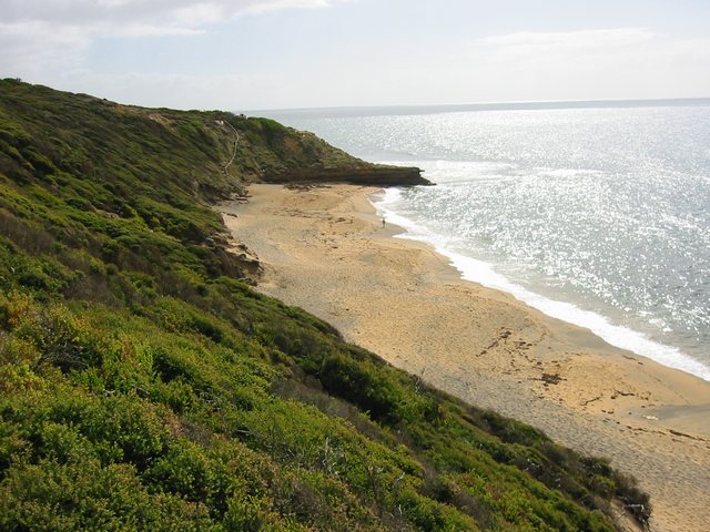 Bells Beach (Used for world surfing competitions)