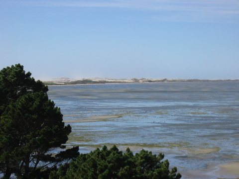 Fairwell spit at the north end of the south island - juts out 50KM into the sea