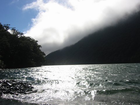 Various photo's taken while travelling back towards Te Anau